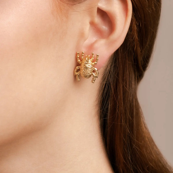 Gold Beetle Stud Earring Sarka & Cleo